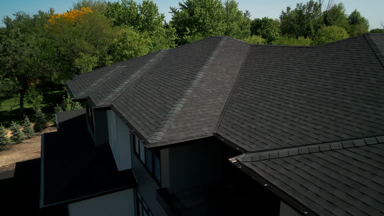 Best Solar Panel Roofing Installation  in Altamont, IL